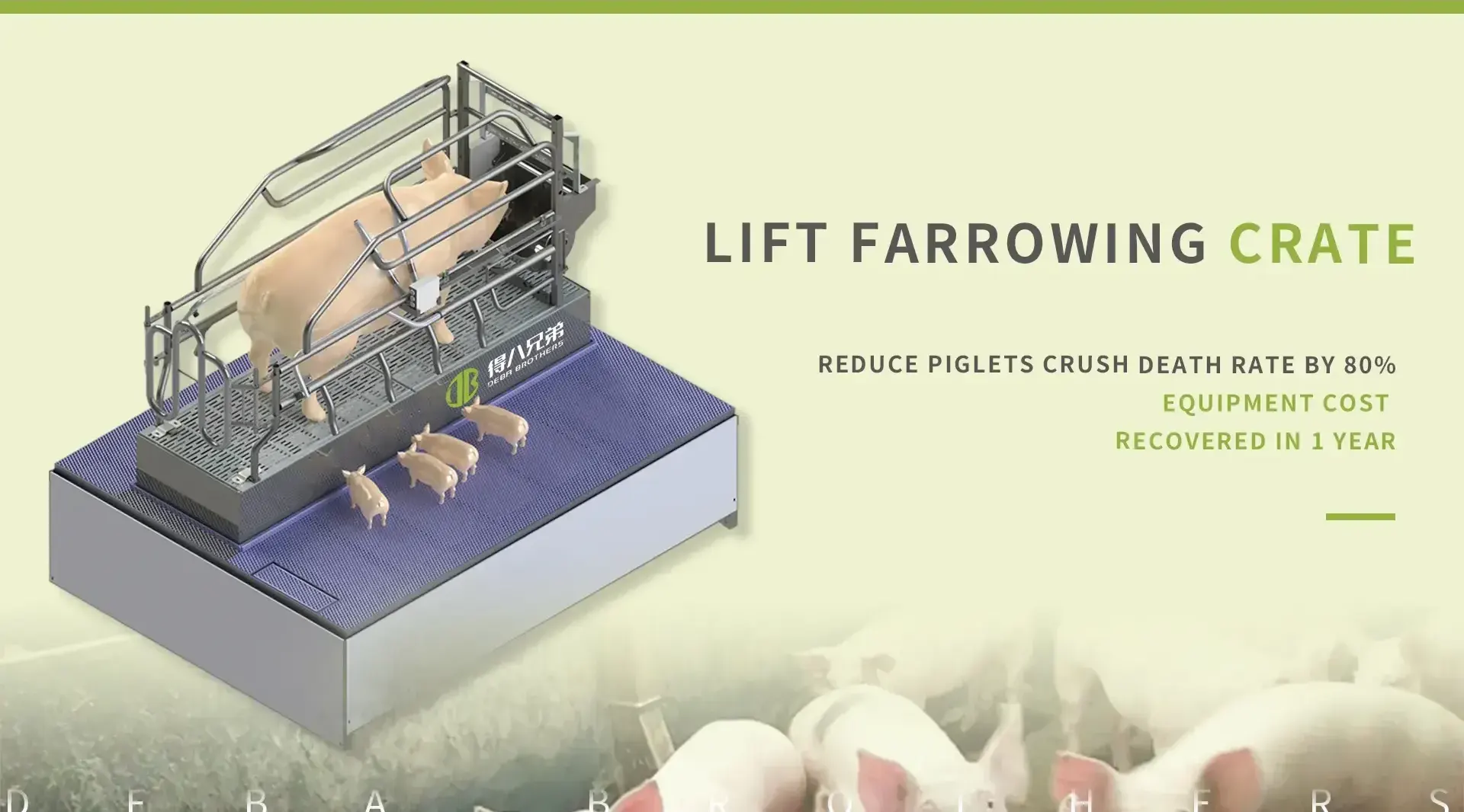 Pabrika ng China Lift Farrowing Crate
