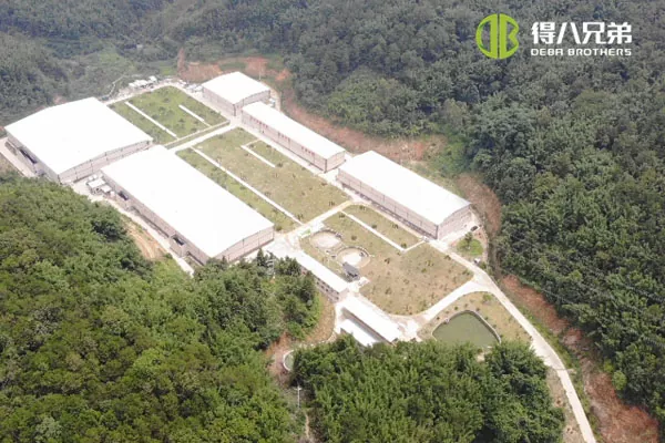 ãLiquid feeding systemãGuangdong Zhaoqing 20000 pagpapataba 10000 weaning pig farm.