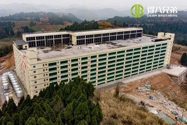 ãMulti Storey projectãSichuan Qiquan group 10000 sows farm