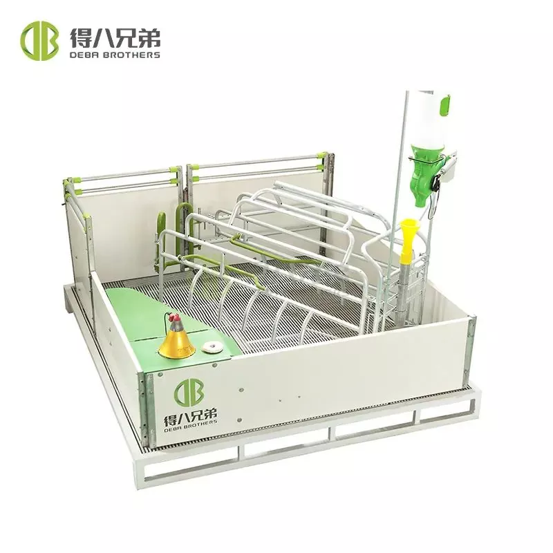 Paano maiiwasan ang mga baboy sa salot