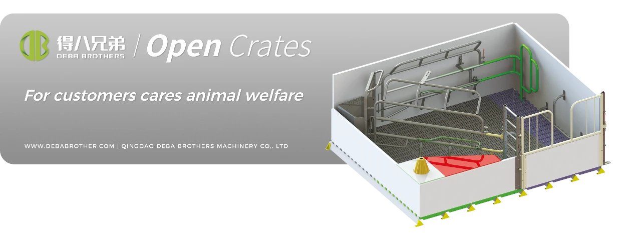 Ang DEBA Brothers open sow bed ay kinilala sa buong mundo para sa user-friendly na disenyo nito