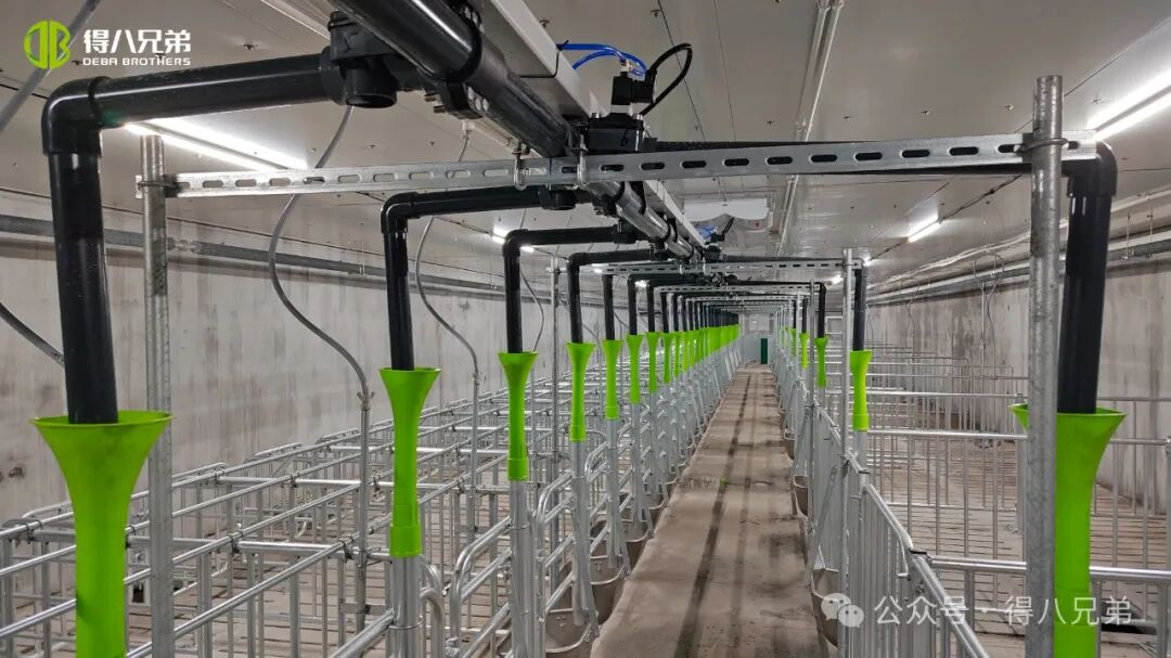 Deba Brother Licha Black Pig Breeding and Cultivation Demonstration Base - Pinagsama-samang Operasyon ng 2,000 Sows, 50,000 Annual Slaughter, 67,000 square meters