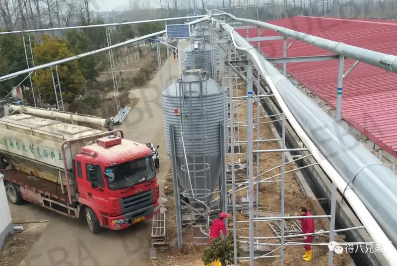 Large-Diameter Conveying Feeding Line: Isang Napakahusay na ASF Defense Tool na na-import mula sa Europe