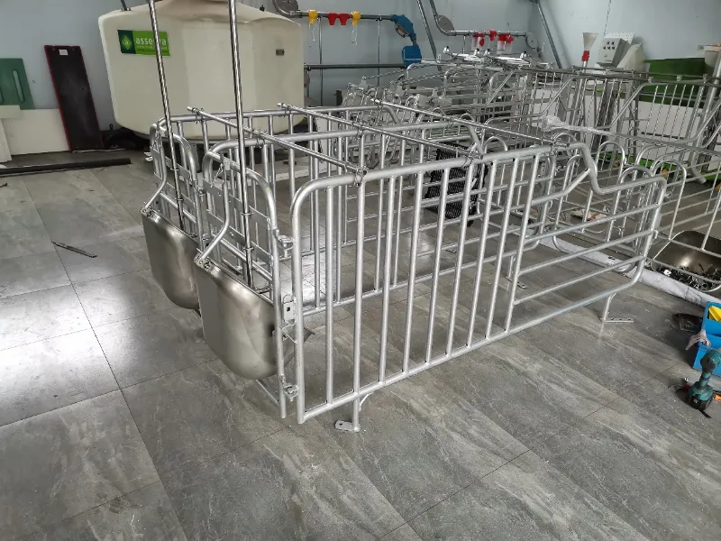Mga Pangunahing Bentahe ng Hot-Dip Galvanizing para sa Kagamitang Panulat sa Pagsasaka ng Baboy