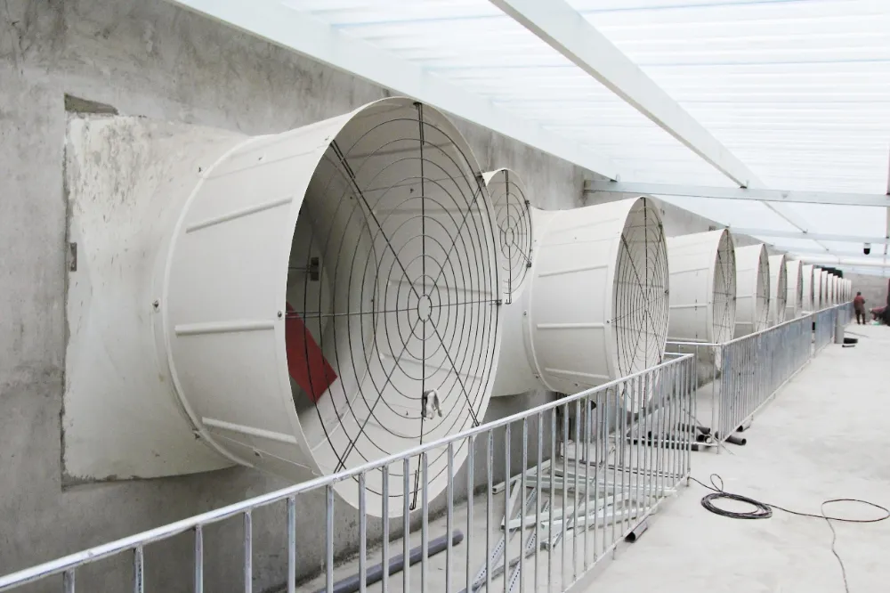 Nagiging Hot Trend ang Intelligent Climate Control sa Malaking Pag-upgrade ng Pig Farm