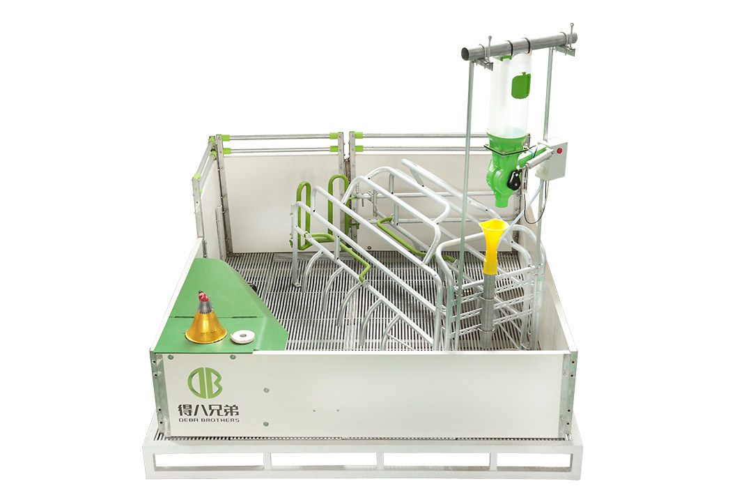 WELSAFE Farrowing Pen para sa mga loose sows - Tumutok sa kapakanan ng hayop